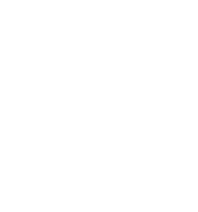 Vicky Nice Interiors - V logo